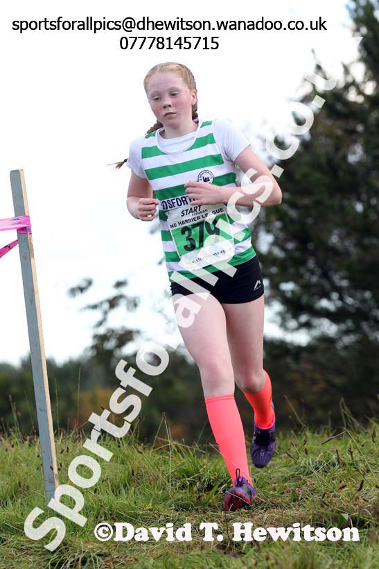Girls under-15s, North East Harrier League, Cramlington. Photo: David T. Hewitson/Sports for All Pics